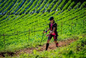 BIB: 
                            <button type="button" onclick="openModal(19162637)" class="btn btn-primary btn-sm float-right btn-popup" data-toggle="modal" data-target=".modal-high-quality">
                        <i class="fas fa-shopping-cart"></i> Add to Cart
                    </button>
                                            <button type="button" onclick="isThisMe(19162637, true)" class="btn btn-success btn-sm float-right btn-popup btn-isme hidden" data-toggle="tooltip" data-placement="bottom" title="นี่คือรูปของคุณใช่ไหม คลิกที่นี่เพื่อเอาเข้าอัลบั้ม">
                        <i class="fas fa-plus"></i> Add to album
                    </button>
                    <button type="button" onclick="isThisMe(19162637, false)" class="btn btn-warning btn-sm float-right btn-popup btn-isnotme hidden">
                        <i class="fas fa-ban"></i> Remove from album
                    </button>